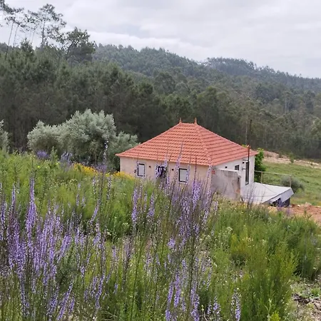 Quintinha Da Loureira Pombal (Leiria)